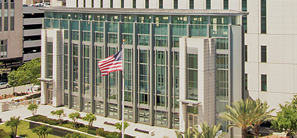 federal law the bigger picture