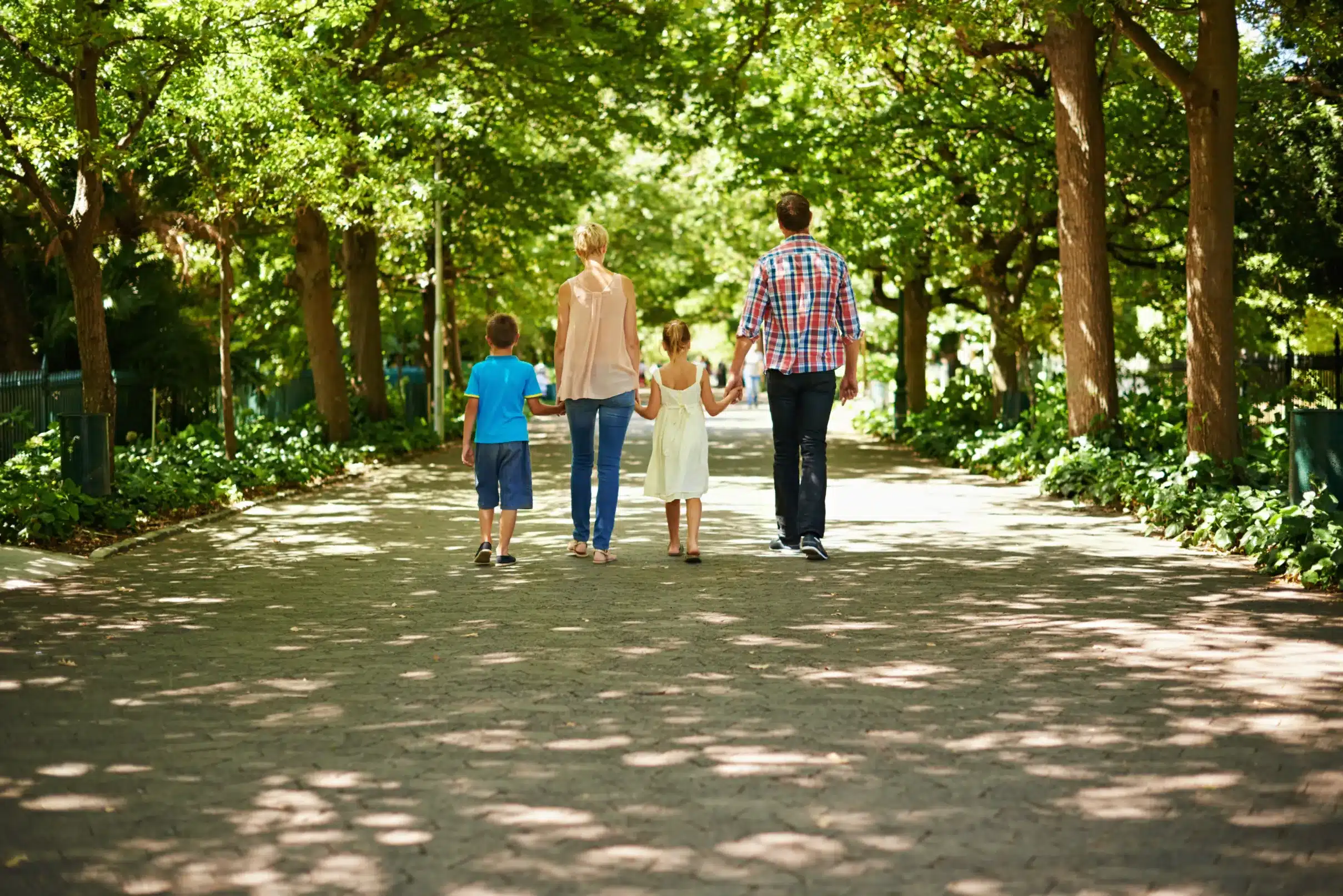 Family law in Boca Grande Family Law in Boca Grande