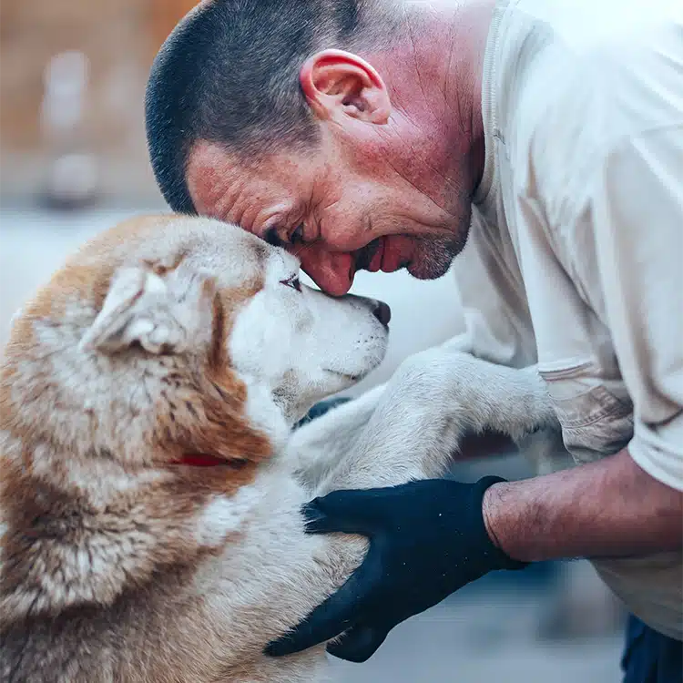 Dog Bites Dog Bites