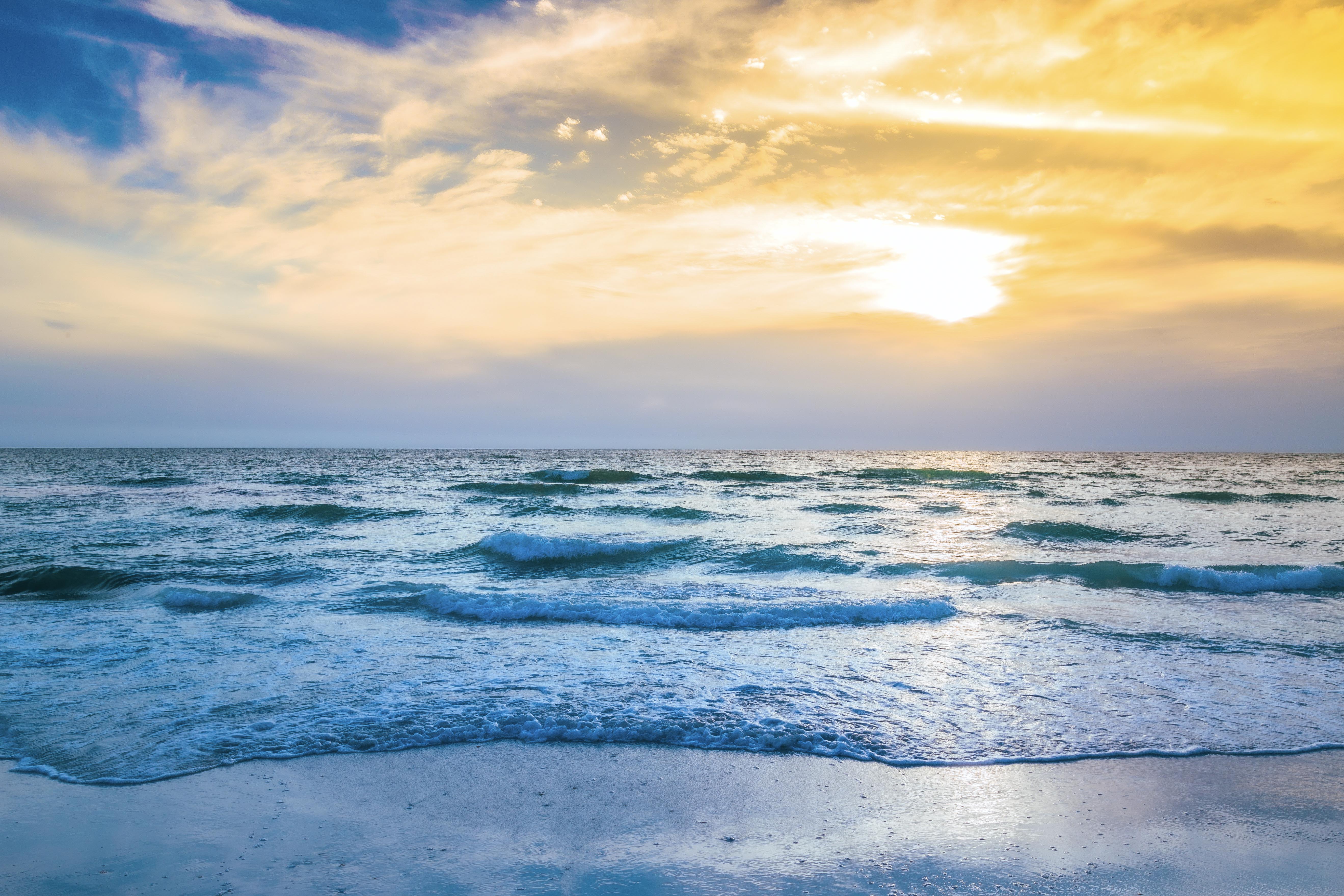 Dangerous Trends in Sarasota Waters<br />
