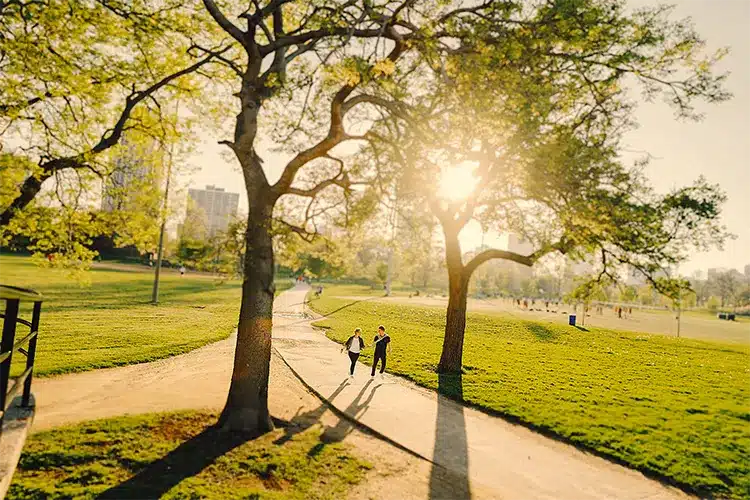 Your Guide to Sidewalks , Parks, and Government Liability Your Guide to Sidewalks , Parks, and Government Liability