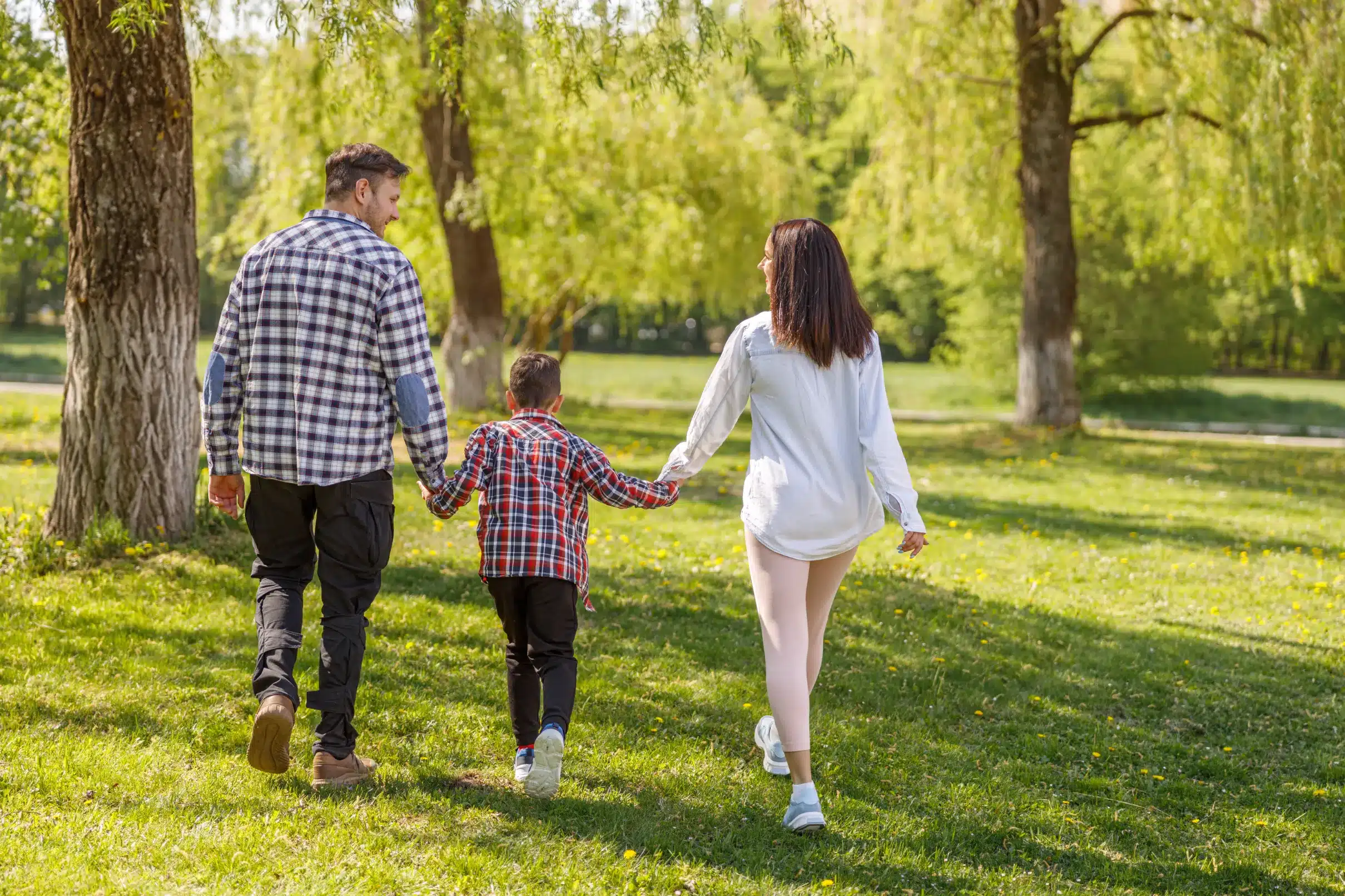 Family Law in Port Charlotte Family Law in Port Charlotte