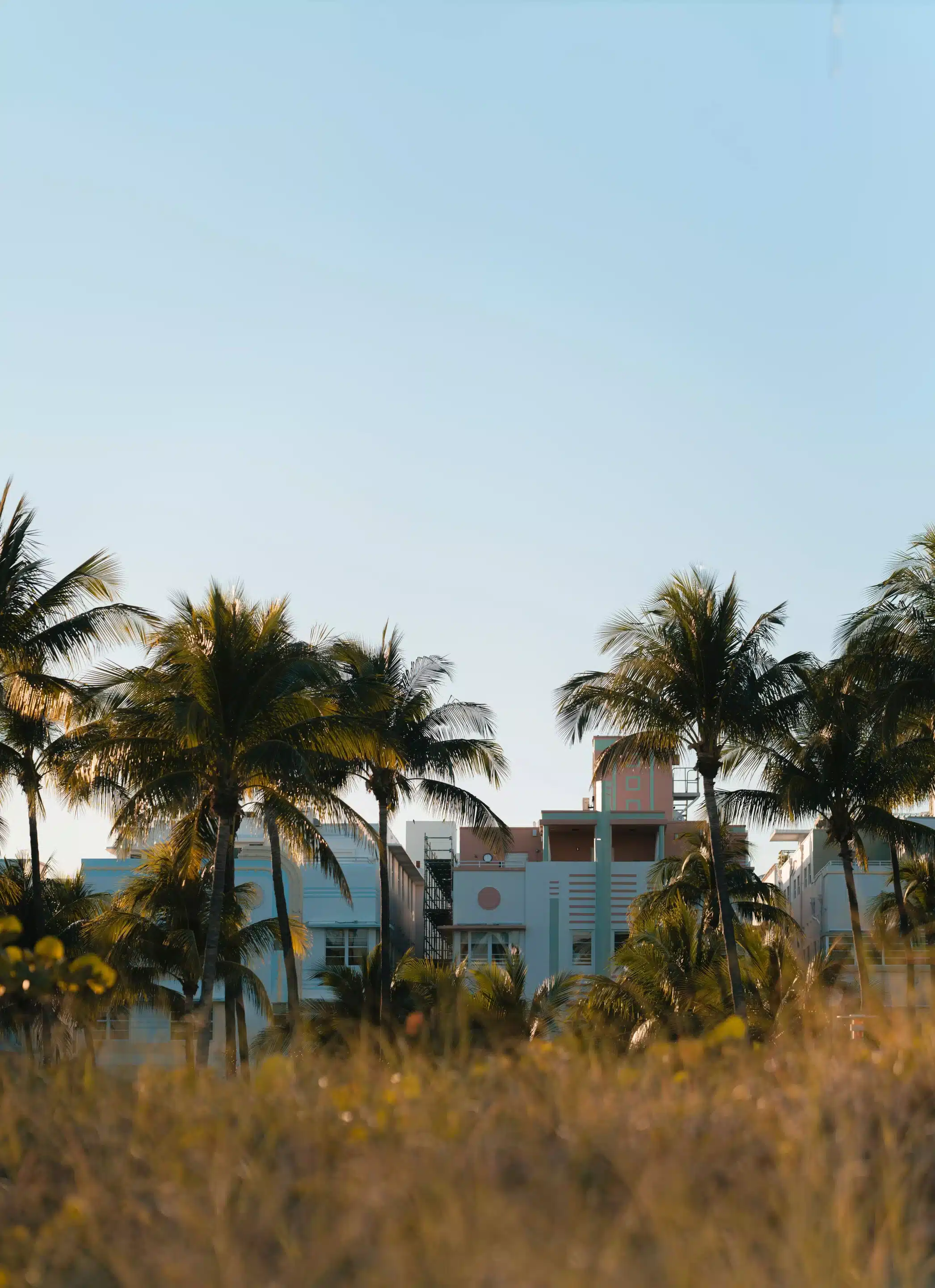 setting up a credit shelter trust