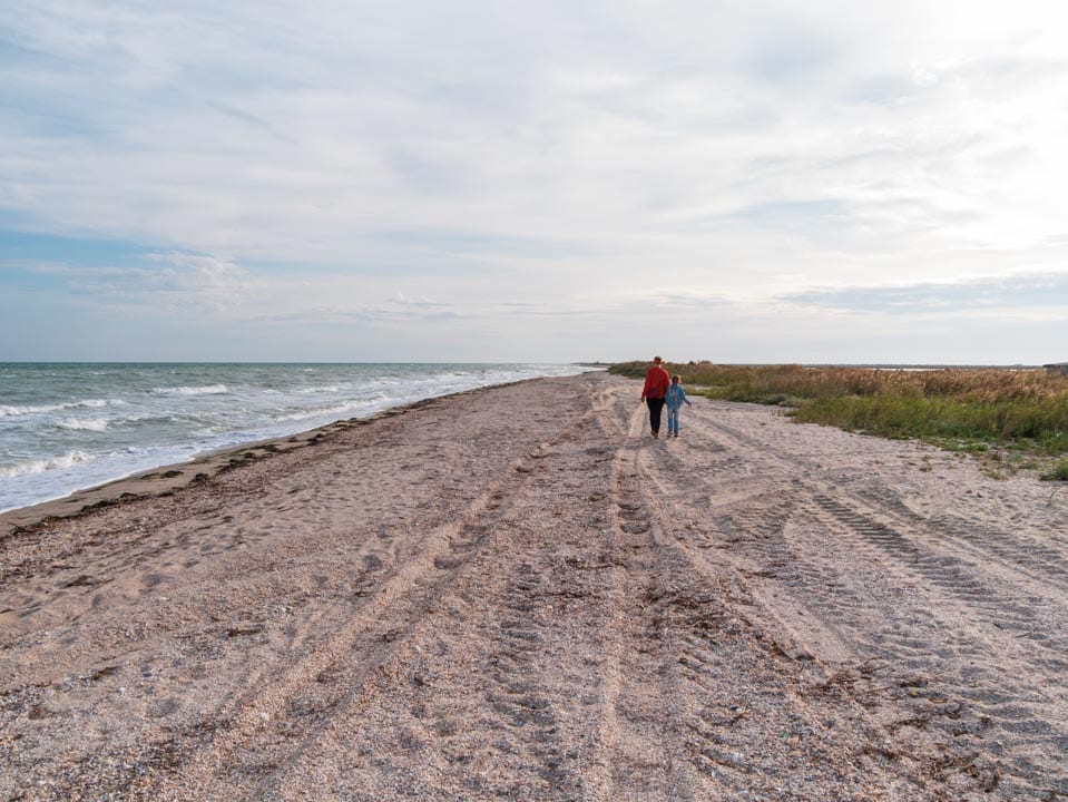 Dangerous Trends in Sarasota Waters<br />
