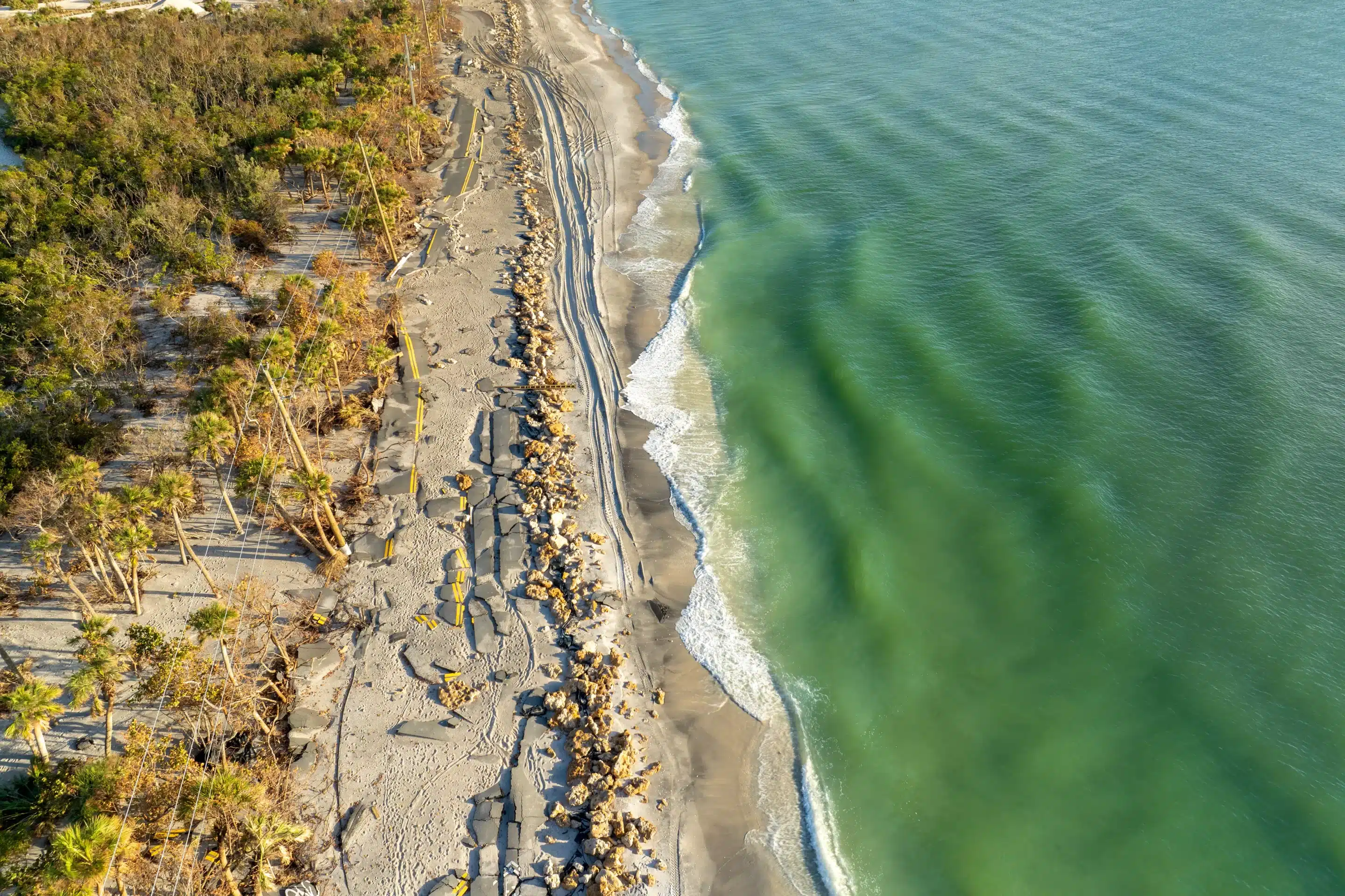 Seagrass Protection Seagrass Protection