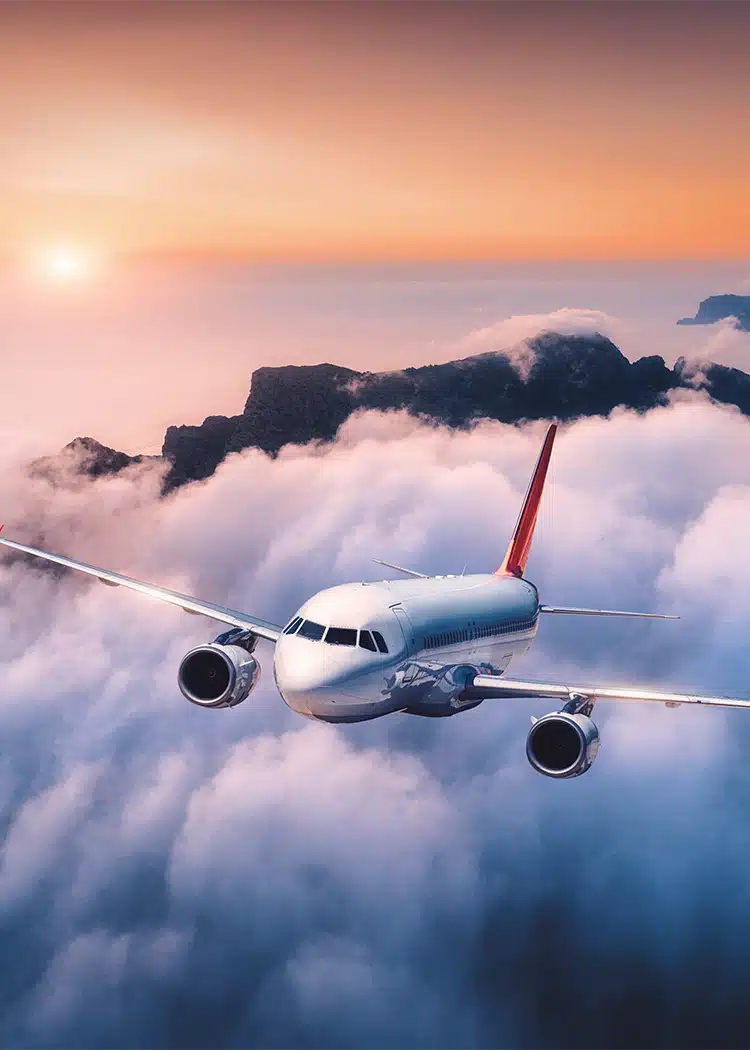 In-Flight Injuries (Turbulence, Falling Luggage) In-Flight Injuries (Turbulence, Falling Luggage)