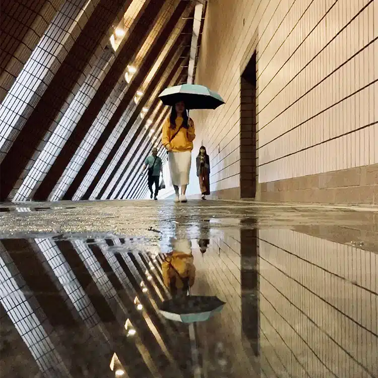 Slip-and-Falls-Wet-Floors-Sarasota-Law Slip and Falls (Wet Floors)